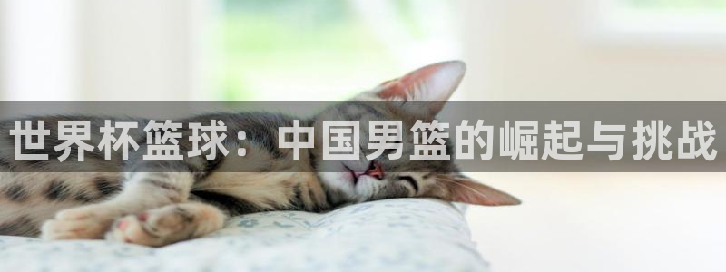 2026世界杯南美区积分榜：世界杯篮球：中国男篮的崛起与挑战