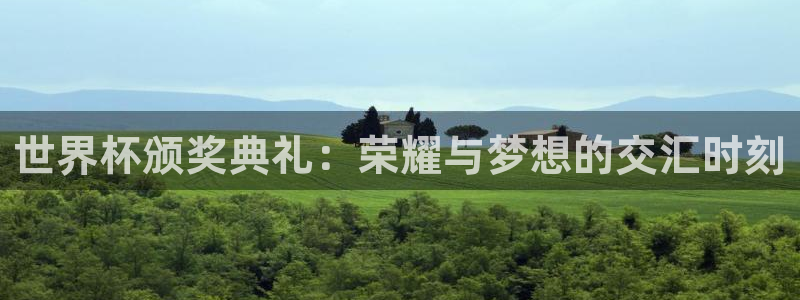 世界杯预选赛欧洲赛区赛程：世界杯颁奖典礼：荣耀与梦想的交汇时刻