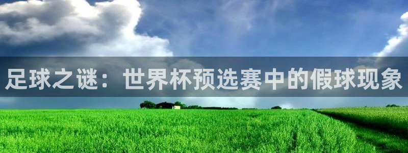 足球世界杯赛程：足球之谜：世界杯预选赛中的假球现象