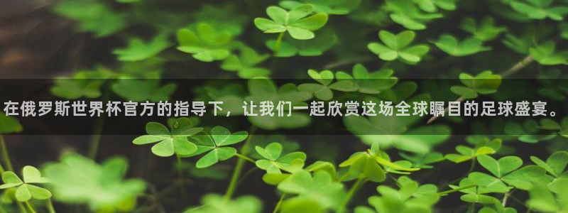 预选赛世界杯：在俄罗斯世界杯官方的指导下，让我们一起欣赏这场全球瞩目的足球盛宴。
