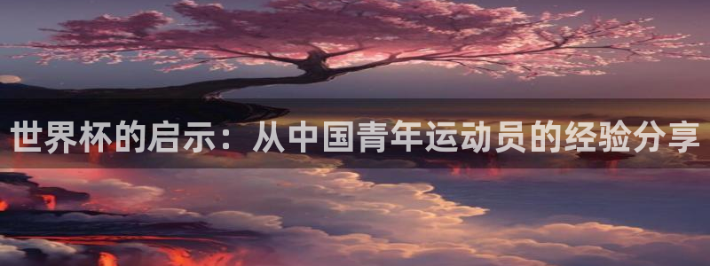 2026世界杯亚洲预选赛：世界杯的启示：从中国青年运动员的经验分享