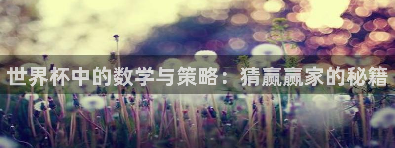 2026年世界杯时间表：世界杯中的数学与策略：猜赢赢家的秘籍