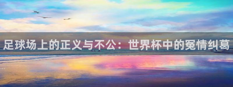 足球世界杯预选赛：足球场上的正义与不公：世界杯中的冤情纠葛