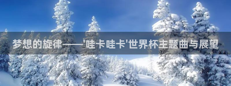 2026世界杯小组赛赛程时间表：梦想的旋律——\'哇卡哇卡\'世界杯主题曲与展望
