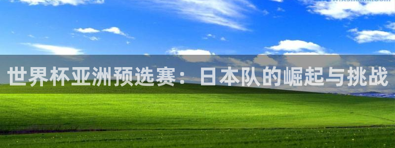 足球世界杯时间：世界杯亚洲预选赛：日本队的崛起与挑战