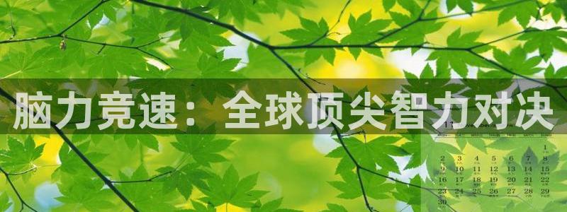 2026世界杯德国队阵容：脑力竞速：全球顶尖智力对决